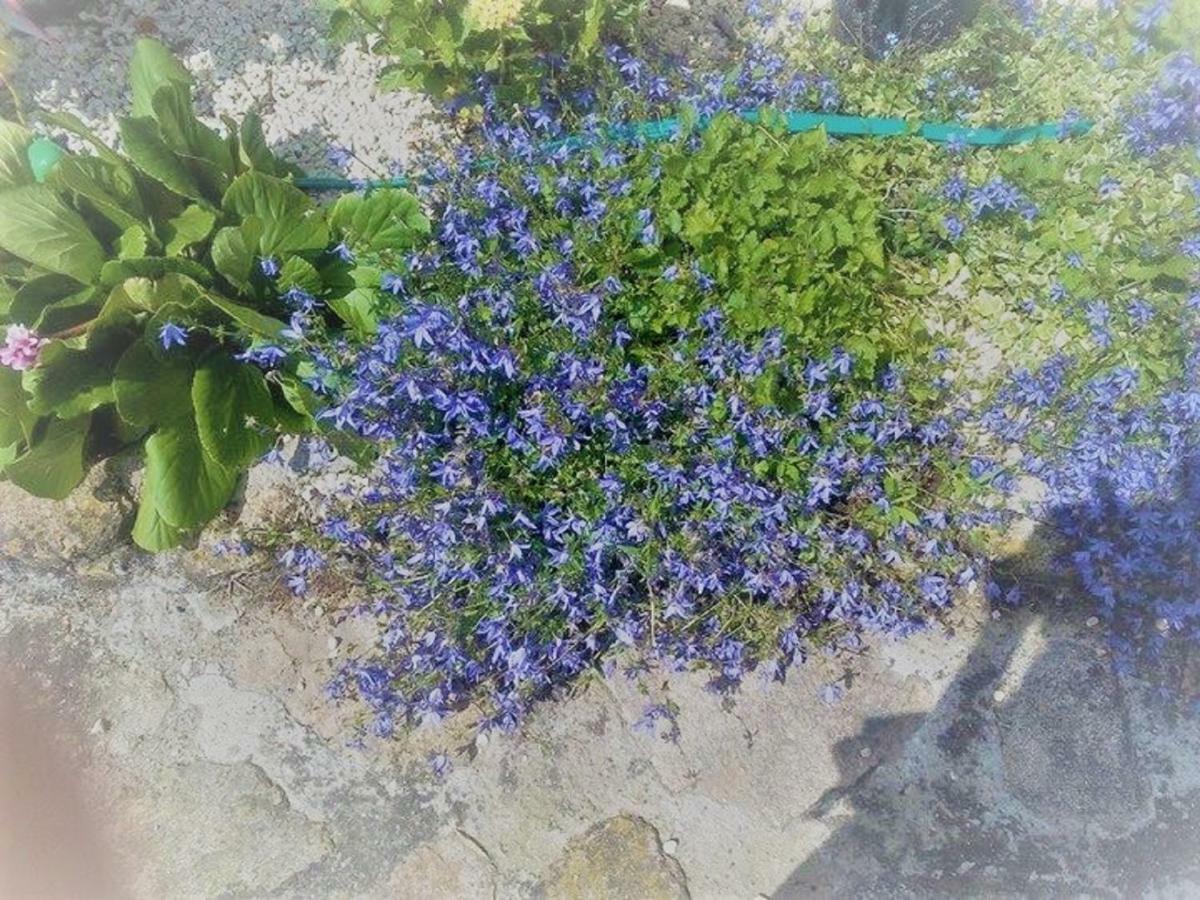 Un Petit Coin De Paradis Gluiras 外观 照片